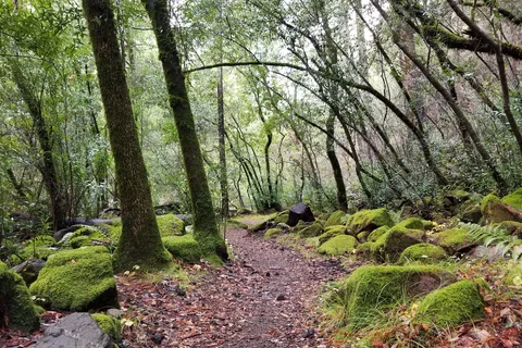 Sugarloaf Ridge State Park