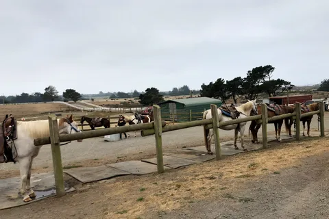 Chanslor Guest Ranch