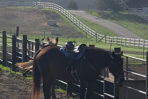 Chanslor Guest Ranch