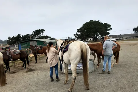 Chanslor Guest Ranch