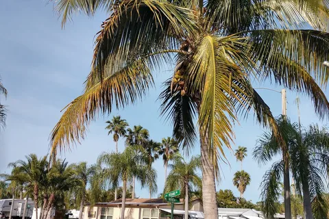 Raintree RV Resort