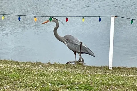 Raintree RV Resort