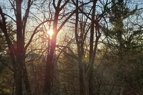 Tower Hill State Park