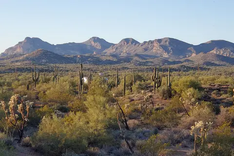 Lost Dutchman State Park