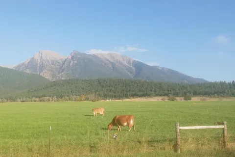 Mission Meadows RV Campground