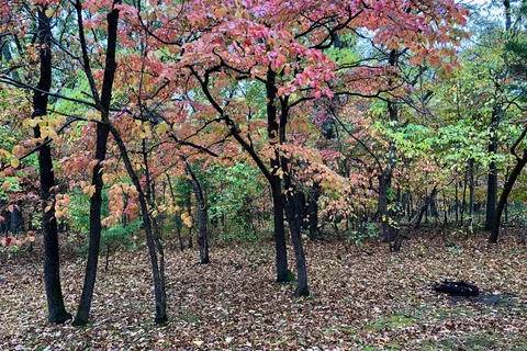 Osage Beach RV Park