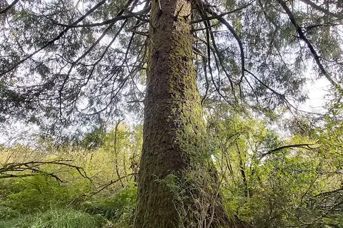 Hoquiam River RV Park