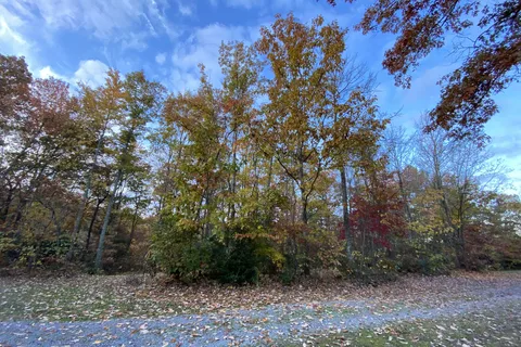Ray's Campground