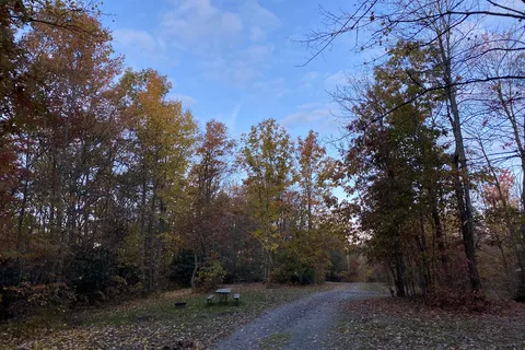 Ray's Campground