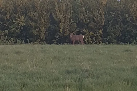 Kindersley Regional Park Campground