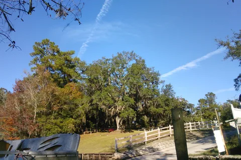 St Marys River Fish Camp and Campground