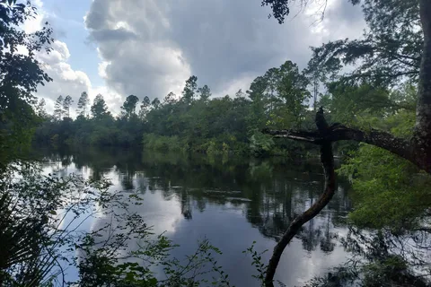 St Marys River Fish Camp and Campground