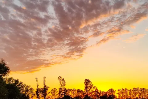 Rainbow Plantation RV Park