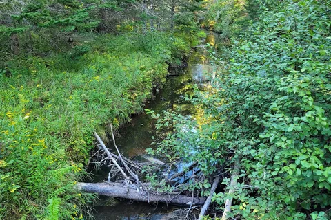 Amherst Shore Provincial Park