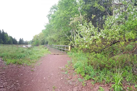 Amherst Shore Provincial Park