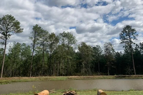 Piney Woods RV Park