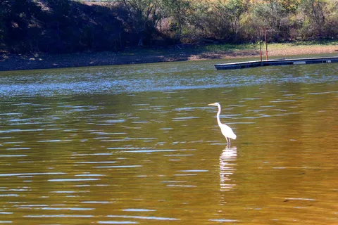Woolly Hollow State Park