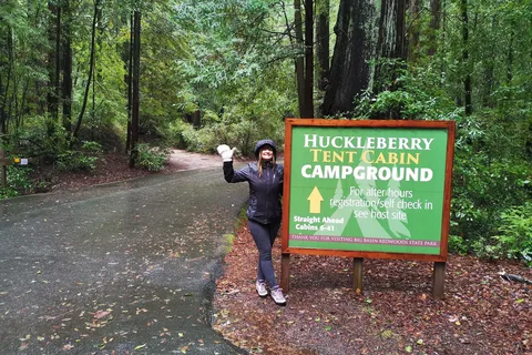 Huckleberry - Big Basin Redwoods State Park
