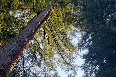 Smithwoods RV Park