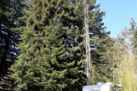 Smithwoods RV Park