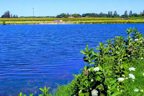 Wild Rose Casino and Resort