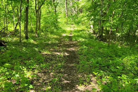 Riverside - Upper Sioux Agency State Park