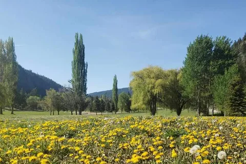 Twin Lakes Golf Course and RV Park