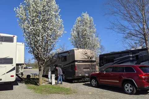 Ivy's Cove RV Retreat