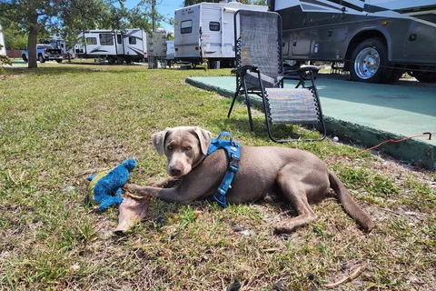 Floridays RV Park