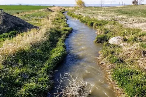 Little Creek Homestead