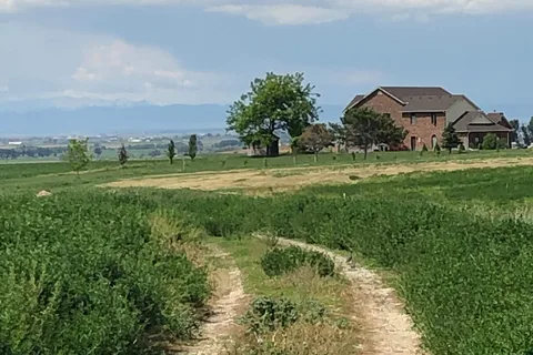 Little Creek Homestead