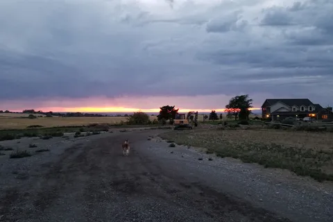 Little Creek Homestead
