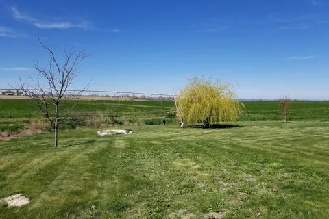 Little Creek Homestead