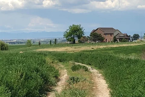 Little Creek Homestead