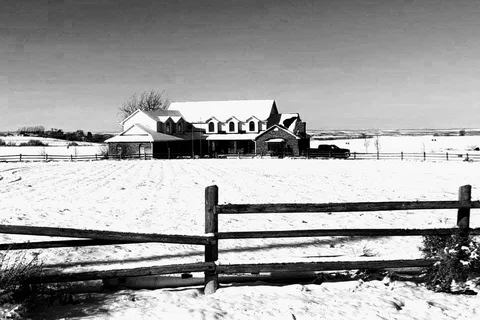 Little Creek Homestead