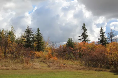 Memory Lane Campground and RV Park Inc.