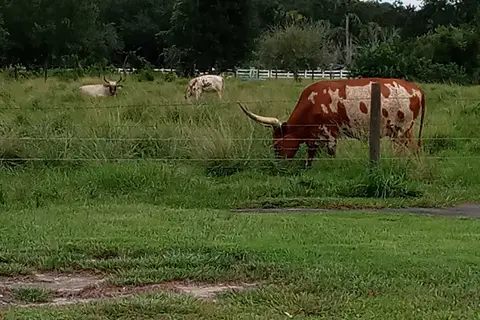 River Ranch RV Resort