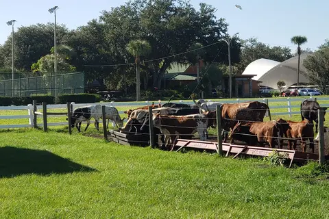 River Ranch RV Resort
