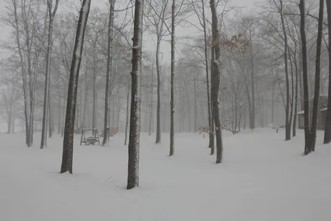 Lakeview Family Campground