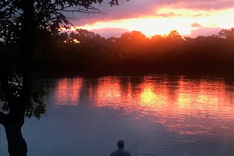 Buddy's River Resort
