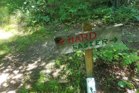Camp Tuscazoar Foundation Inc
