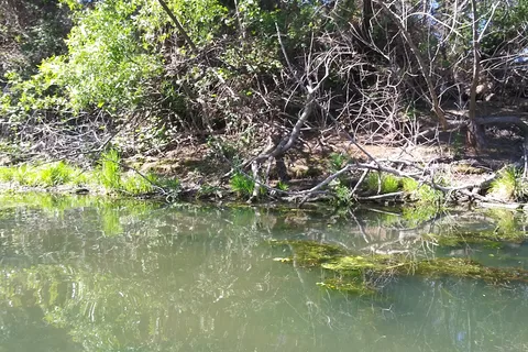 Clear Lake Campground