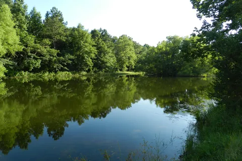 The Backyard RV Resort
