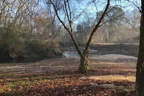 Cane Creek RV Park and Campground