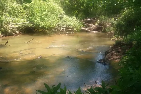 Cane Creek RV Park and Campground