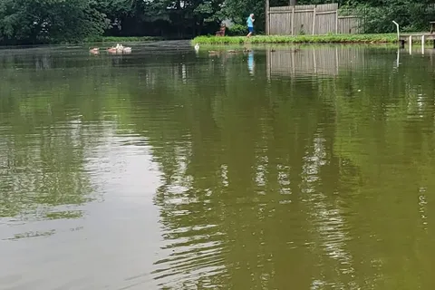 Shady Grove Campground