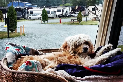 Haines Hitch-Up RV Park