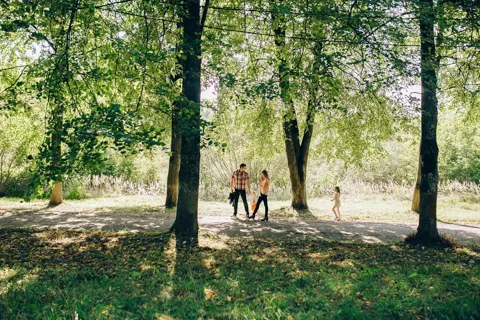 Broad River Campground
