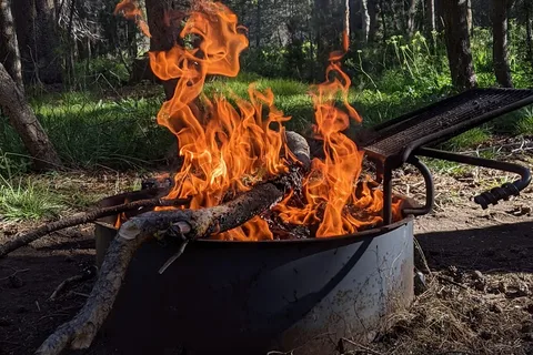 Bridalveil Creek Horse Camp - Yosemite National Park
