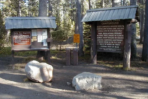 Bridalveil Creek Horse Camp - Yosemite National Park